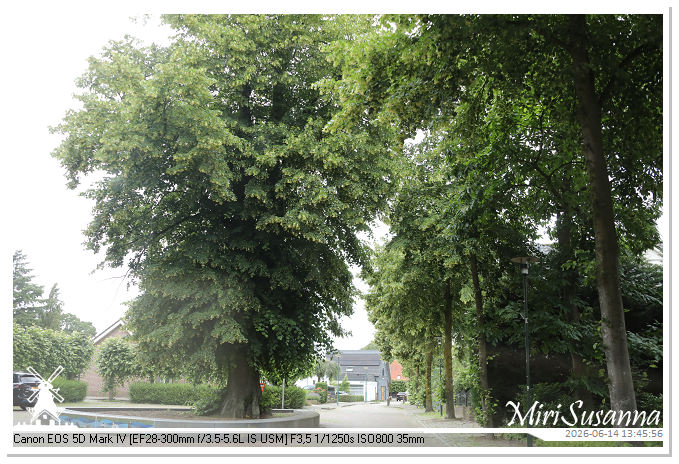 Land van Maas en Waal MS5D1786@MiriSusanna CC-BY-NC-ND Land van Maas en Waal MS5D1786