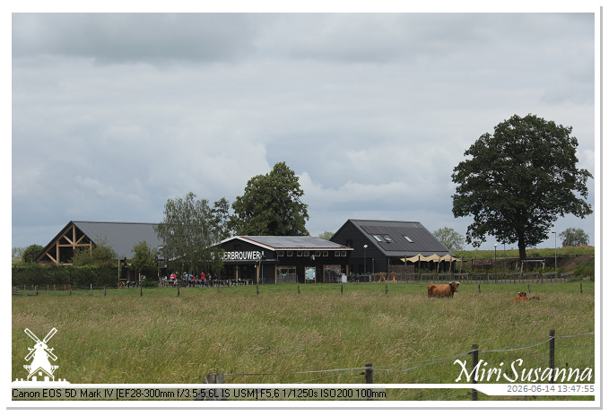 Land van Maas en Waal MS5D1790@MiriSusanna CC-BY-NC-ND Land van Maas en Waal MS5D1790