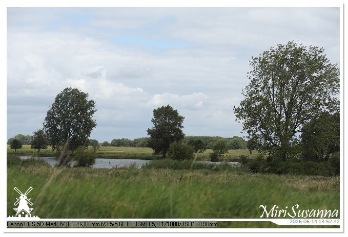 Land van Maas en Waal MS5D1798@MiriSusanna CC-BY-NC-ND Land van Maas en Waal MS5D1798
