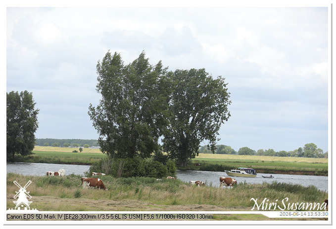 Land van Maas en Waal MS5D1802@MiriSusanna CC-BY-NC-ND Land van Maas en Waal MS5D1802