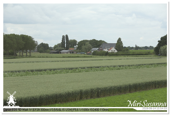 Land van Maas en Waal MS5D1805@MiriSusanna CC-BY-NC-ND Land van Maas en Waal MS5D1805