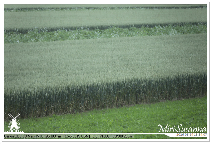 Land van Maas en Waal MS5D1806@MiriSusanna CC-BY-NC-ND Land van Maas en Waal MS5D1806
