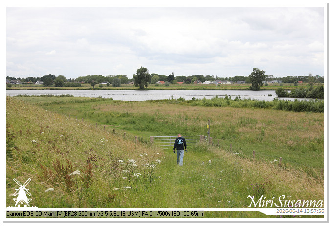 Land van Maas en Waal MS5D1814@MiriSusanna CC-BY-NC-ND Land van Maas en Waal MS5D1814