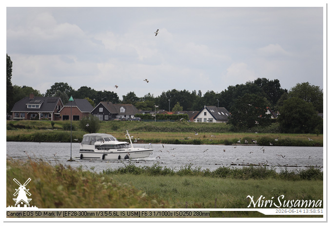 Land van Maas en Waal MS5D1824@MiriSusanna CC-BY-NC-ND Land van Maas en Waal MS5D1824