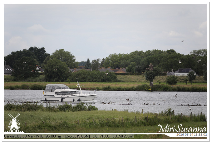 Land van Maas en Waal MS5D1826@MiriSusanna CC-BY-NC-ND Land van Maas en Waal MS5D1826