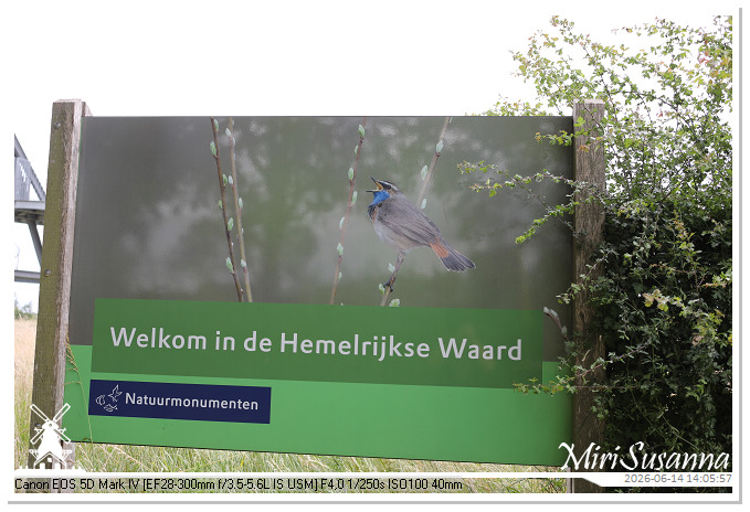 Land van Maas en Waal MS5D1841@MiriSusanna CC-BY-NC-ND Land van Maas en Waal MS5D1841