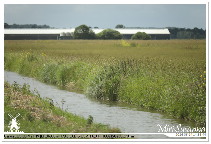 Land van Maas en Waal MS5D1934@MiriSusanna CC-BY-NC-ND Land van Maas en Waal MS5D1934