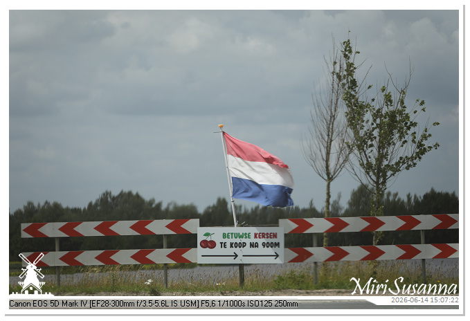 Land van Maas en Waal MS5D1945@MiriSusanna CC-BY-NC-ND Land van Maas en Waal MS5D1945