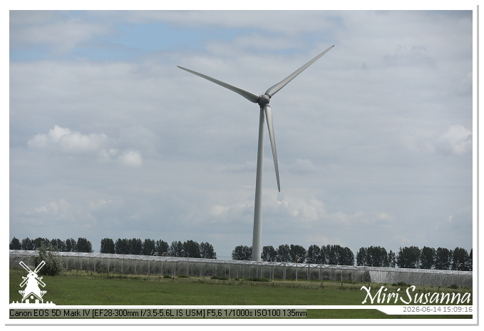 Land van Maas en Waal MS5D1951@MiriSusanna CC-BY-NC-ND Land van Maas en Waal MS5D1951