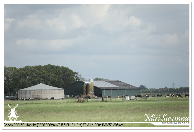 Land van Maas en Waal MS5D1953@MiriSusanna CC-BY-NC-ND Land van Maas en Waal MS5D1953