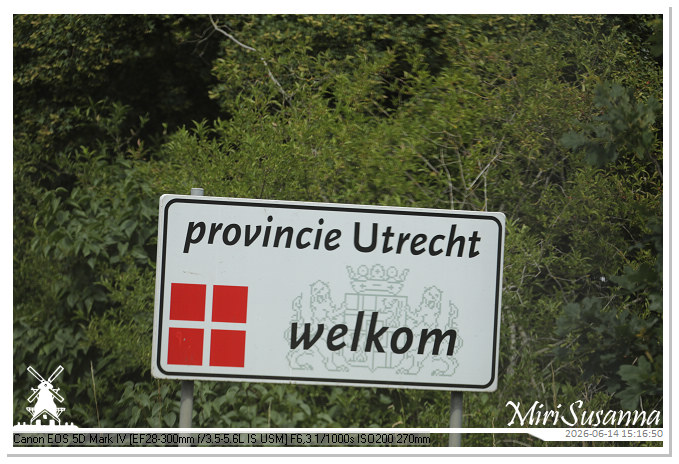 Land van Maas en Waal MS5D1964@MiriSusanna CC-BY-NC-ND Land van Maas en Waal MS5D1964