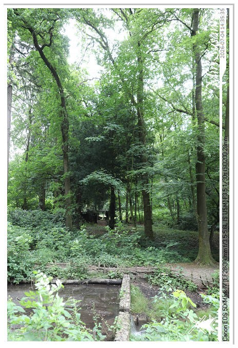 Landgoed Oorsprong, Oosterbeek MS5D1979@MiriSusanna CC-BY-NC-ND Landgoed Oorsprong, Oosterbeek MS5D1979