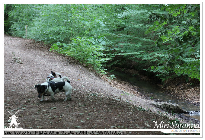 Landgoed Oorsprong, Oosterbeek MS5D2000@MiriSusanna CC-BY-NC-ND Landgoed Oorsprong, Oosterbeek MS5D2000