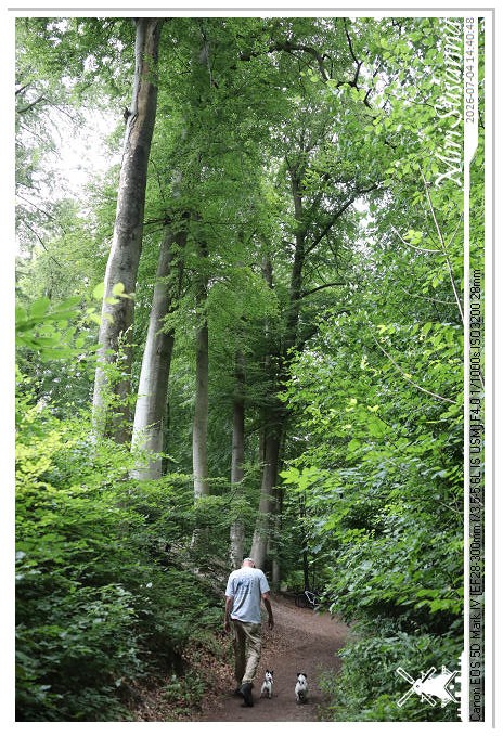 Landgoed Oorsprong, Oosterbeek MS5D2005@MiriSusanna CC-BY-NC-ND Landgoed Oorsprong, Oosterbeek MS5D2005