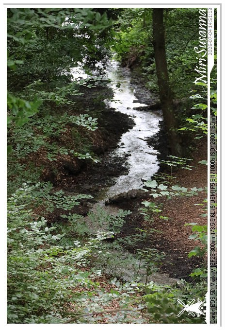 Landgoed Oorsprong, Oosterbeek MS5D2031@MiriSusanna CC-BY-NC-ND Landgoed Oorsprong, Oosterbeek MS5D2031