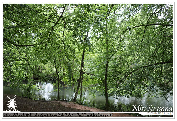 Landgoed Oorsprong, Oosterbeek MS5D2039@MiriSusanna CC-BY-NC-ND Landgoed Oorsprong, Oosterbeek MS5D2039
