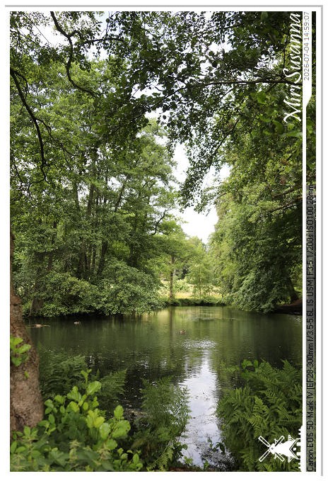 Landgoed Oorsprong, Oosterbeek MS5D2044@MiriSusanna CC-BY-NC-ND Landgoed Oorsprong, Oosterbeek MS5D2044