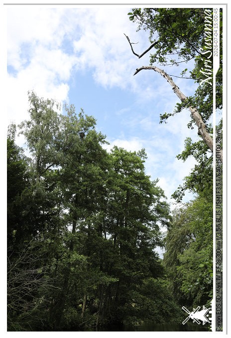 Landgoed Oorsprong, Oosterbeek MS5D2053@MiriSusanna CC-BY-NC-ND Landgoed Oorsprong, Oosterbeek MS5D2053