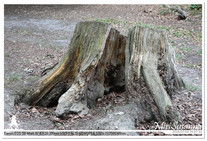 Landgoed Oorsprong, Oosterbeek MS5D2075@MiriSusanna CC-BY-NC-ND Landgoed Oorsprong, Oosterbeek MS5D2075