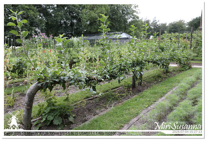 Landgoed Oorsprong, Oosterbeek MS5D2101@MiriSusanna CC-BY-NC-ND Landgoed Oorsprong, Oosterbeek MS5D2101