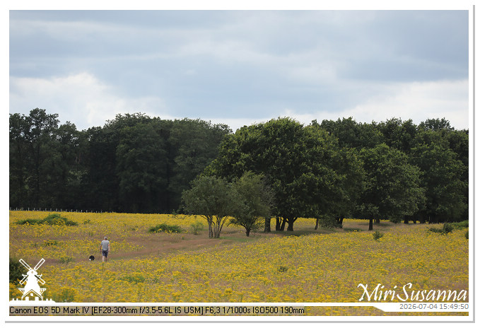 MS5D2136@MiriSusanna CC-BY-NC-ND MS5D2136