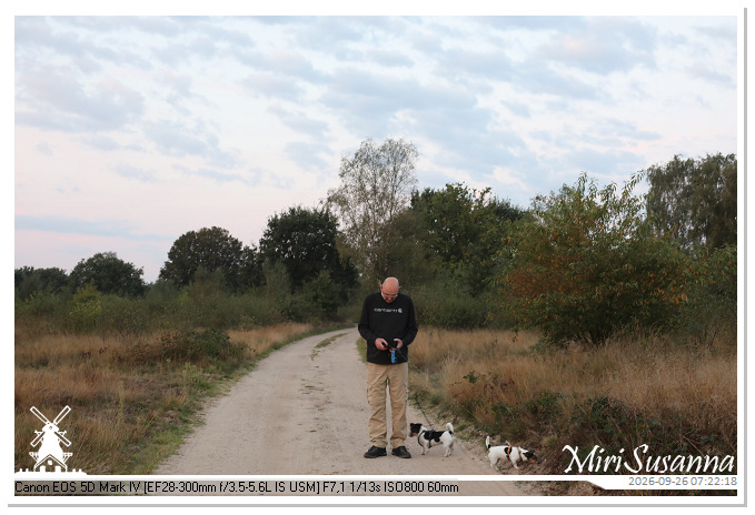Eder- en Ginkelse Heide MS5D1941
