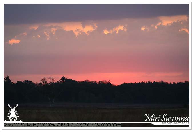 Eder- en Ginkelse Heide MS5D1946
