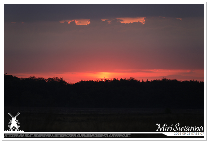 Eder- en Ginkelse Heide MS5D1962