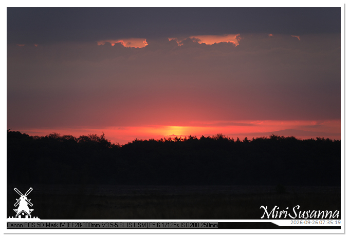 Eder- en Ginkelse Heide MS5D1963