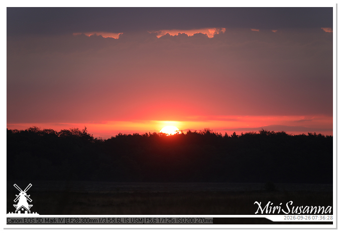 Eder- en Ginkelse Heide MS5D1972