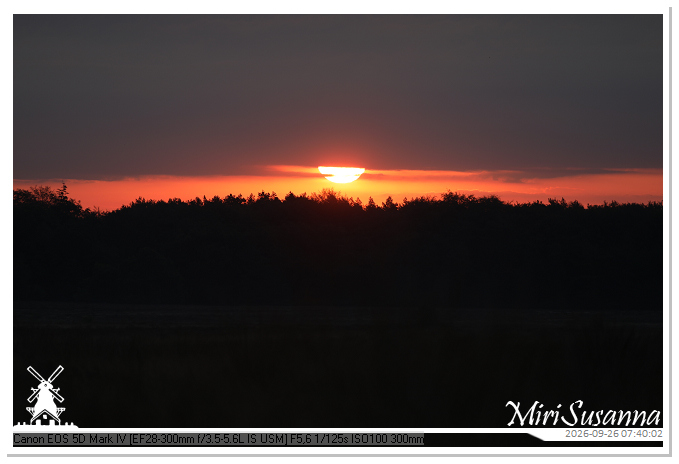 Eder- en Ginkelse Heide MS5D1985