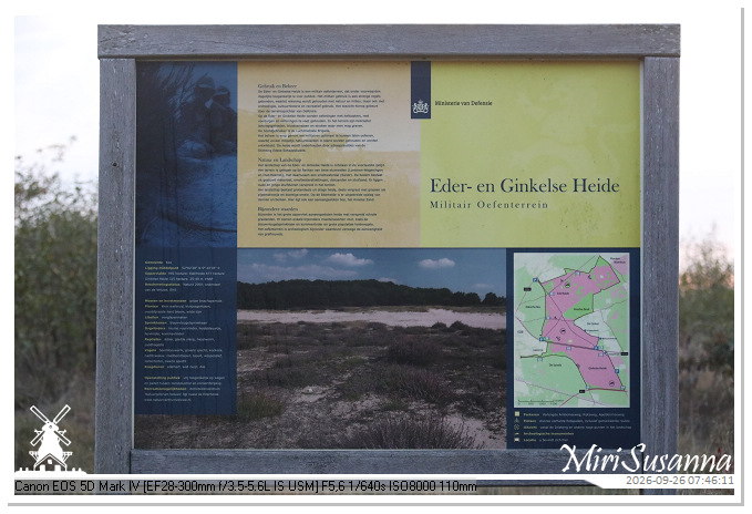 Eder- en Ginkelse Heide MS5D2003