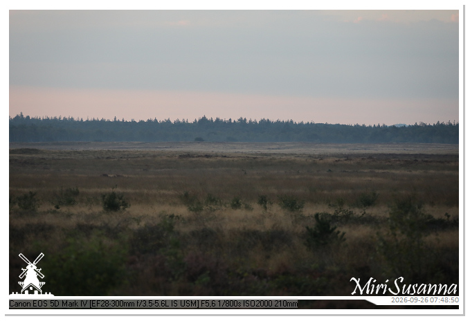 Eder- en Ginkelse Heide MS5D2009