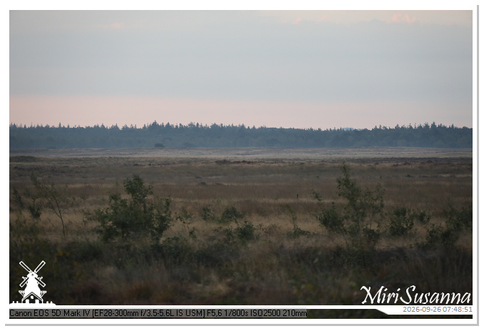 Eder- en Ginkelse Heide MS5D2010