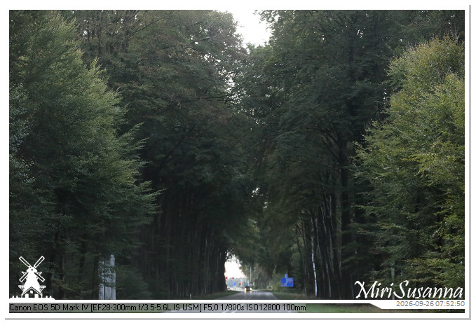 Eder- en Ginkelse Heide MS5D2013