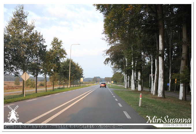 Eder- en Ginkelse Heide MS5D2028