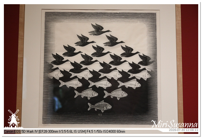 London D1 Exhibition Escher MS5D3071@MiriSusanna CC-BY-NC-ND London D1 Exhibition Escher MS5D3071