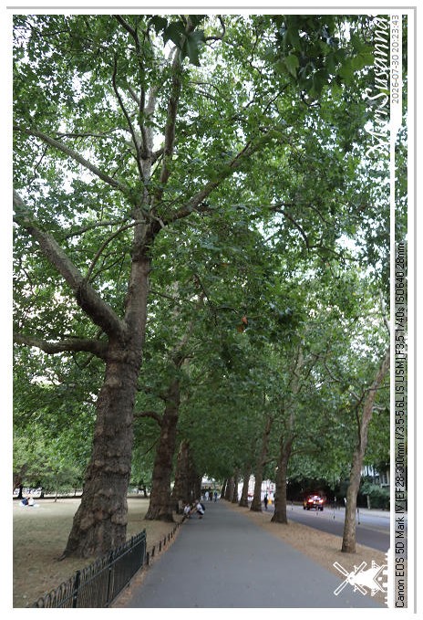 London D1 MS5D3219