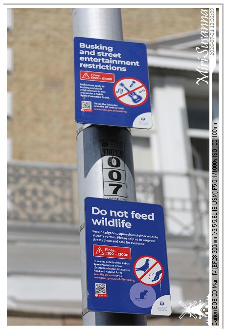 London D2 MS5D3419