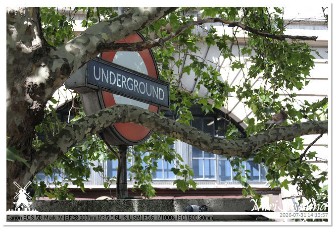 London D2 MS5D3474