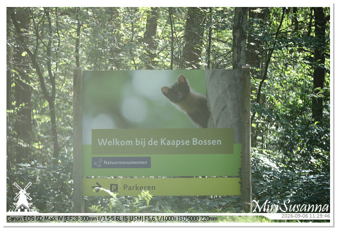 Kaapse Bossen, Doorn MS5D1837
