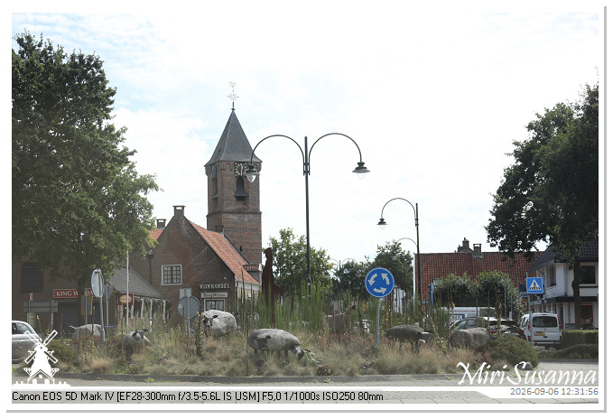 Kaapse Bossen, Doorn MS5D1912